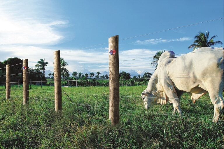 258857-arame-para-cerca-veja-qual-o-modelo-indicado-para-cada-tipo-de-terreno